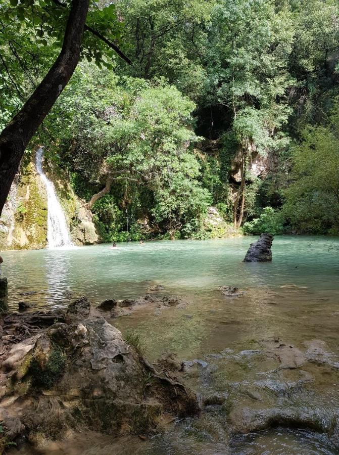 Les Chenes Chez Jo Et Aime Bed & Breakfast Régusse Dış mekan fotoğraf